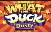 What the Duck