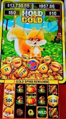 Hold N Gold