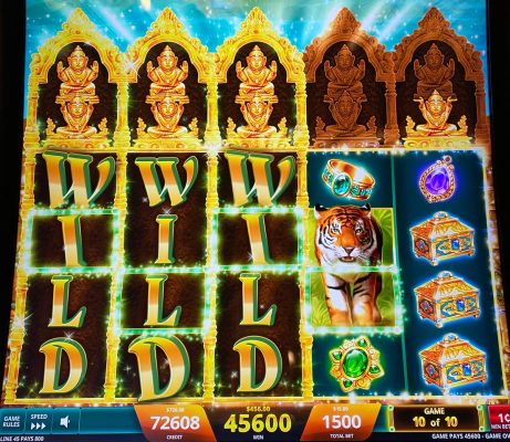 Golden Jungle Grand